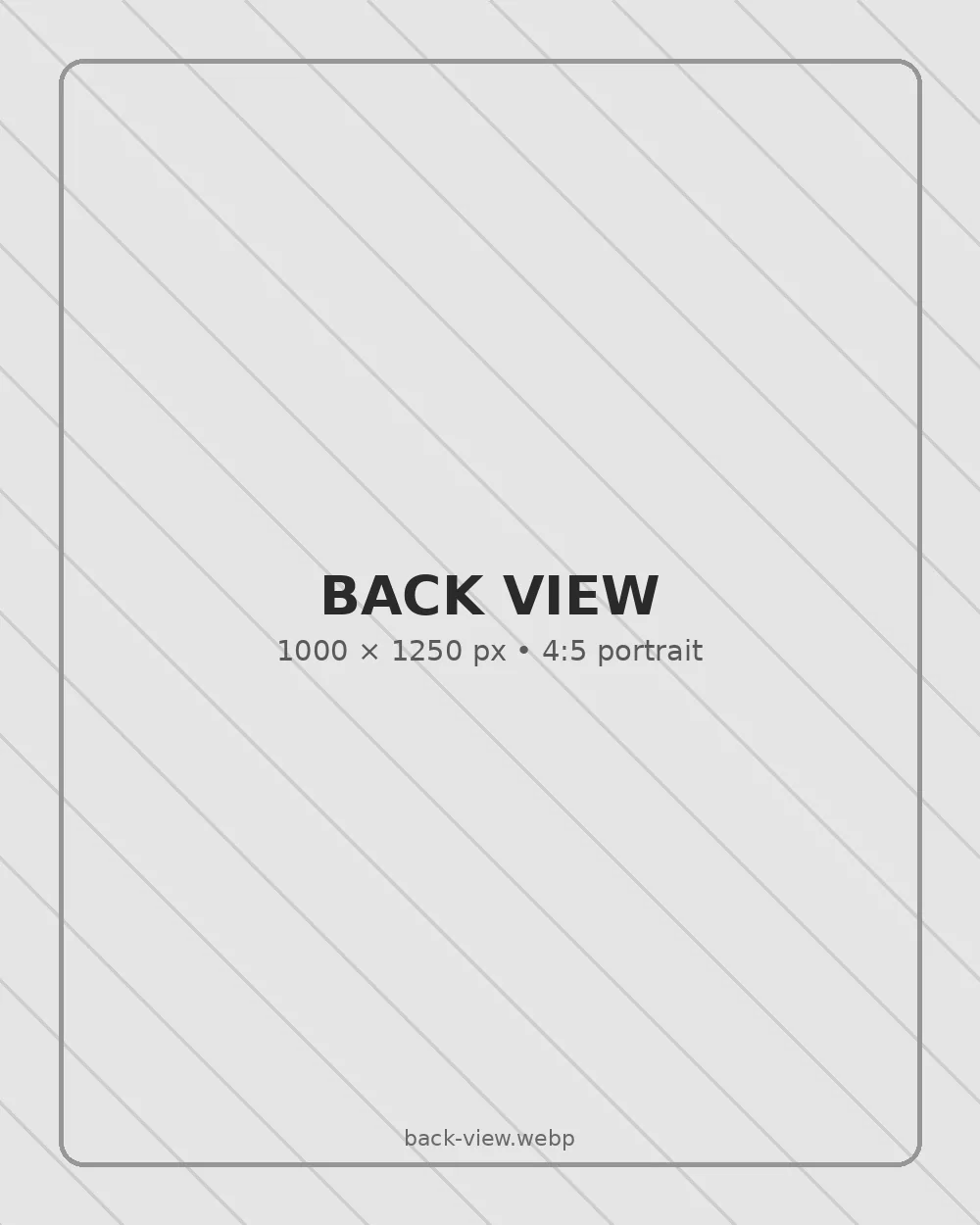 Replace with back view of a Frisky-T statement shirt — 1000 by 1250 pixels
