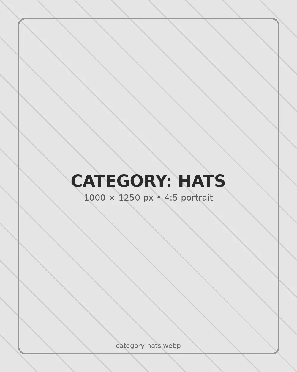Replace with Frisky-T hat product photo — 1000 by 1250 pixels